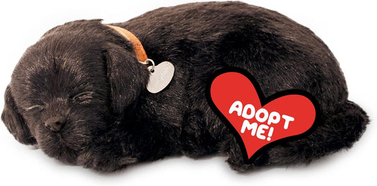Realistic Black Lab Interactive Pet Toy