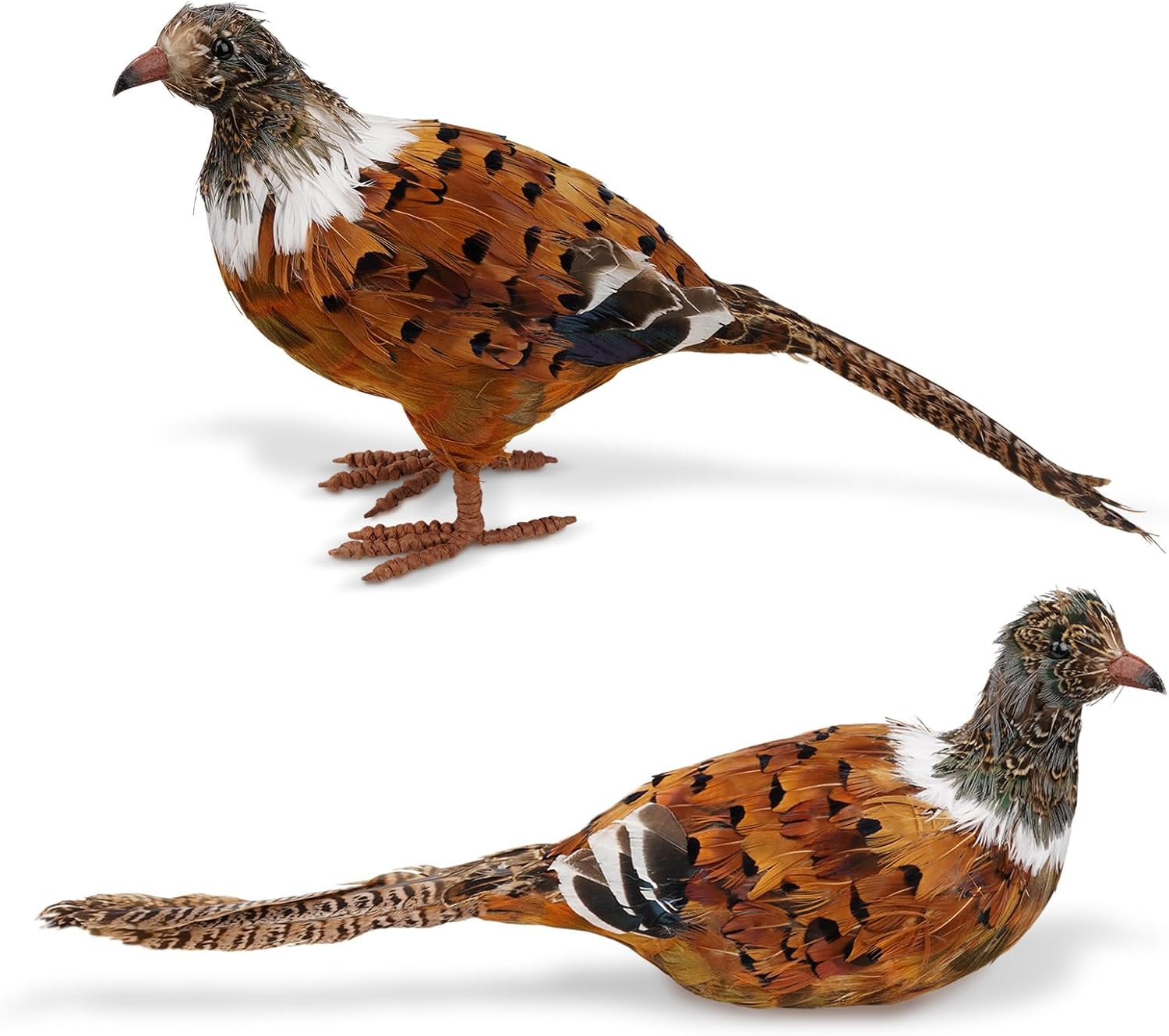 Naturevibe Feathered Pheasant Decor Set for Autumn Home Style