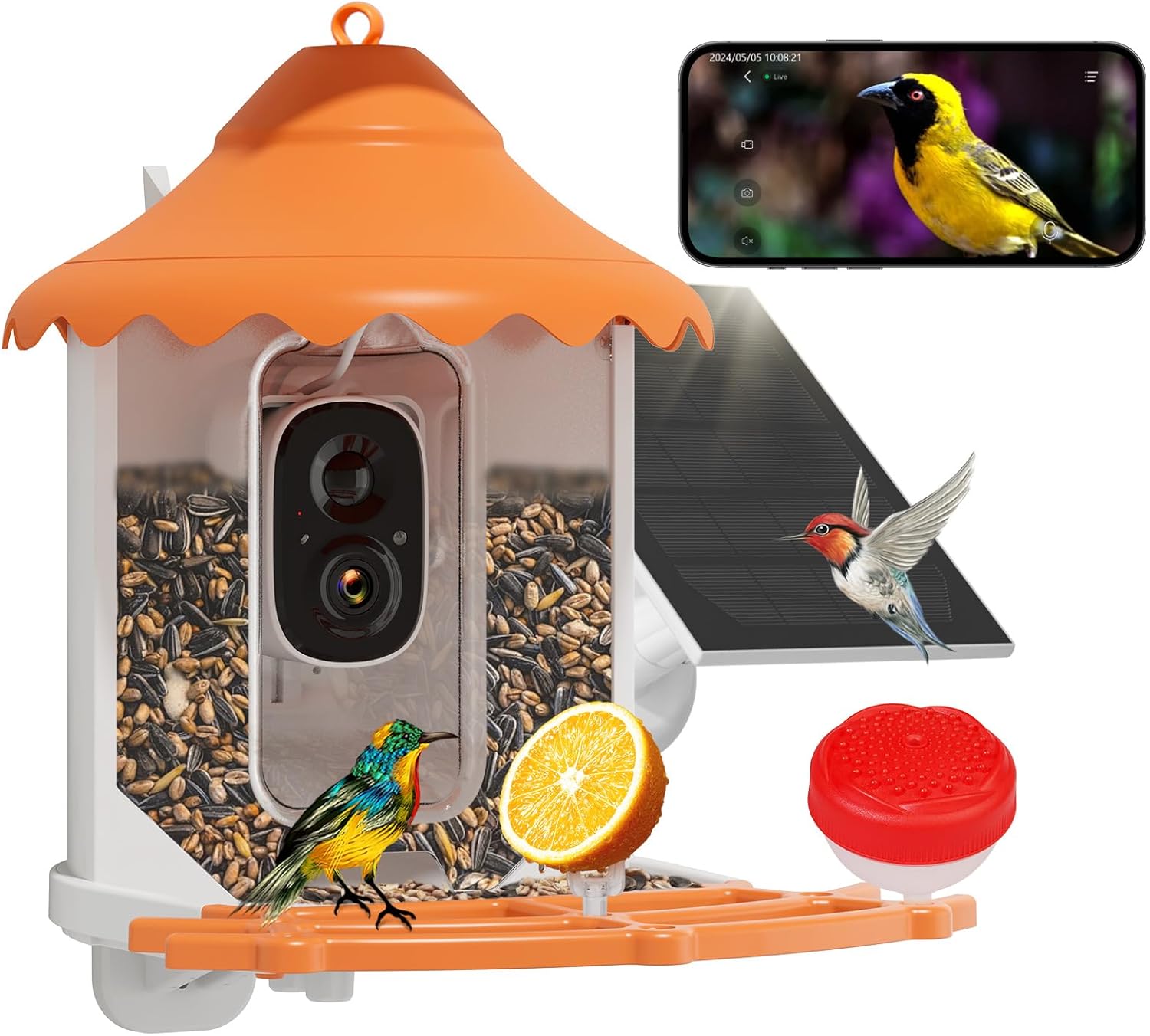Hiseeu Smart Bird Feeder: Identify 11000+ Birds