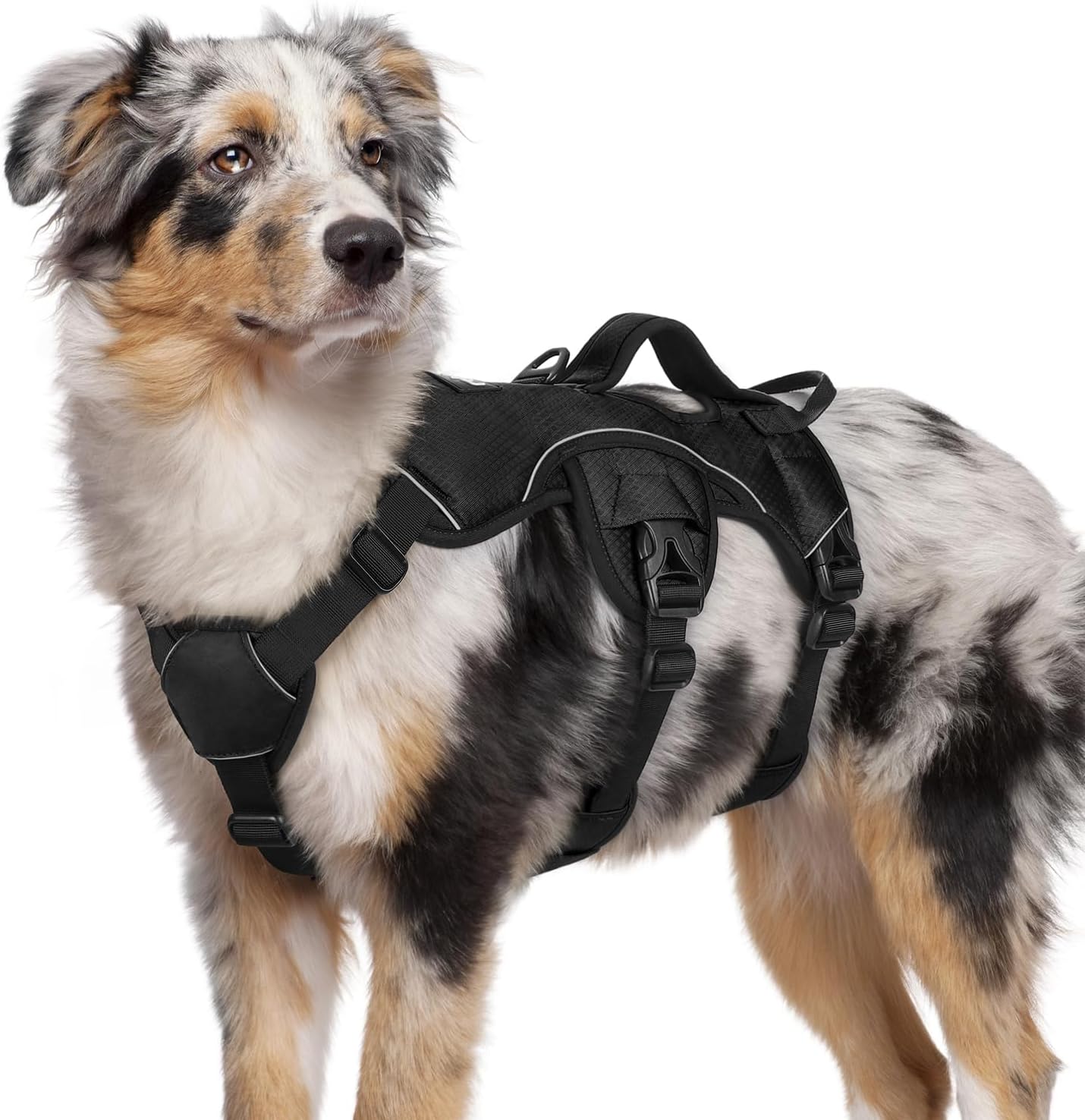 Escape Proof Dog Harness for Large Dogs by rabbitgoo - Black