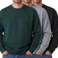 Taiyin 3 Pack Men's Lightweight Fleece Crewneck Sweatshirt - Value ANY