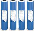 Pentair Pentek GAC-20BB Big Blue Carbon Water Filter - Reliable Taste