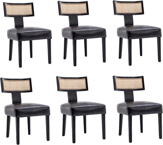 HNY Mid Century Modern Rattan Dining Chairs Set of 6 for Home