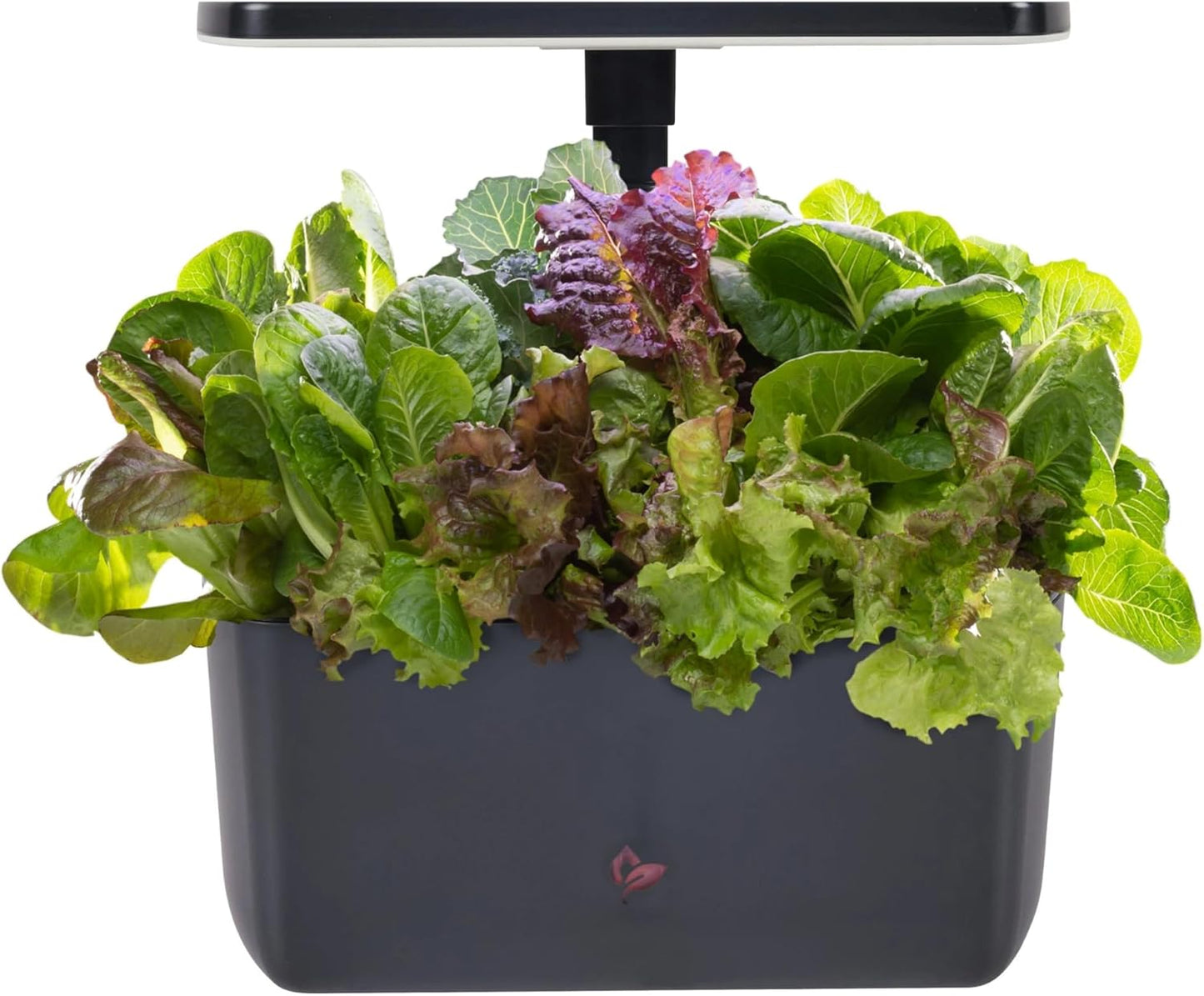 AeroGarden Harvest 2.0 Indoor Hydroponic System for Home Use
