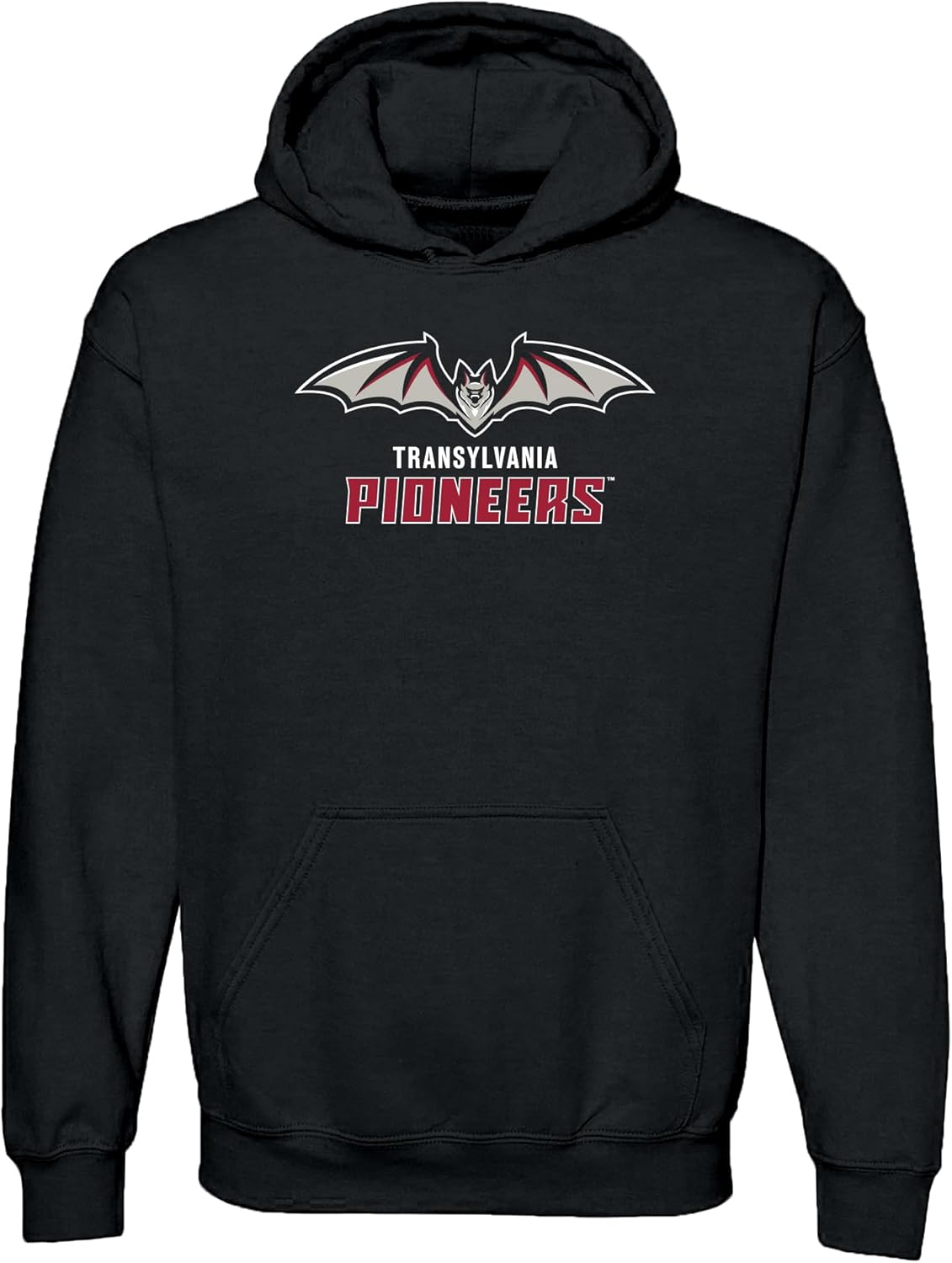UGP Campus Apparel NCAA Primary Logo Hoodie for School Spirit