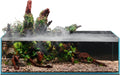 UNS Ultra Clear Rimless Tank - 10.2GAL Low Iron Clarity