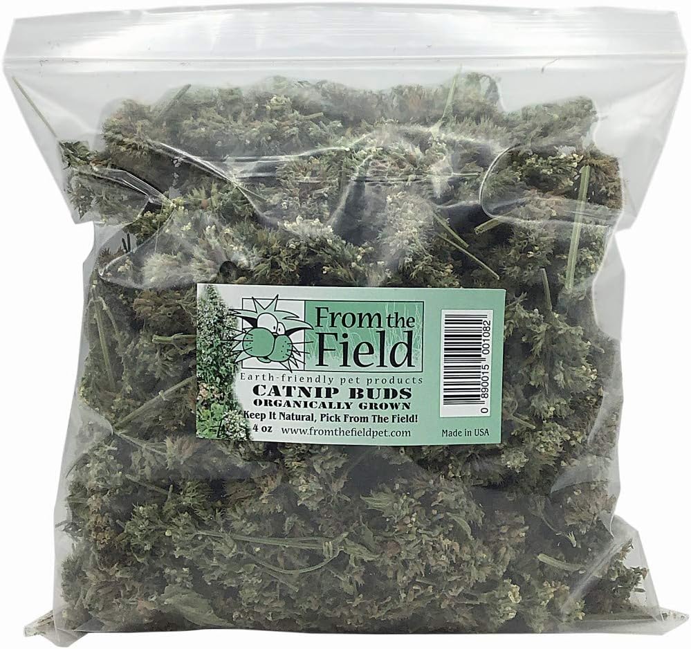 Premium Whole Catnip Buds for Cats - Fresh & Organic Treats