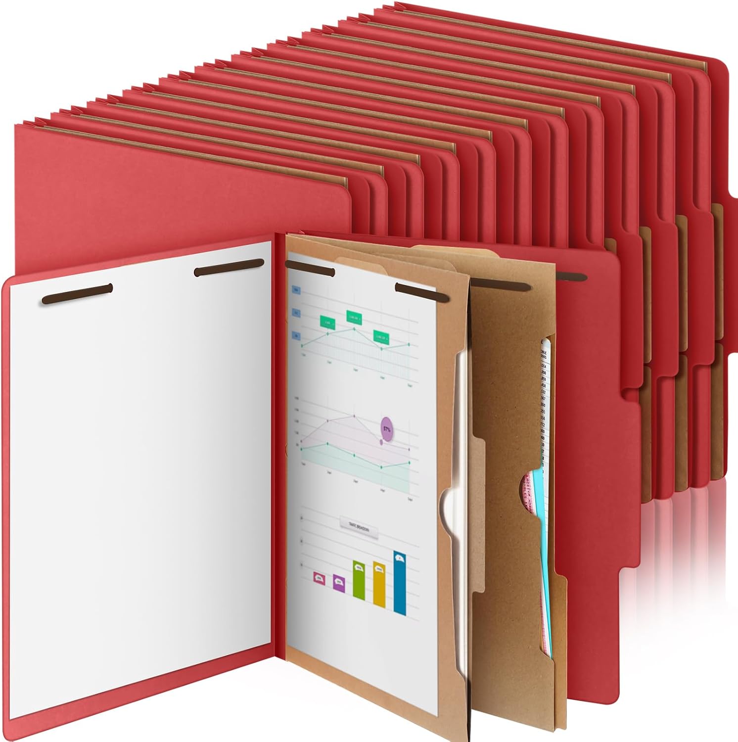 24 Pcs Classification Folders for Effective Document Organization