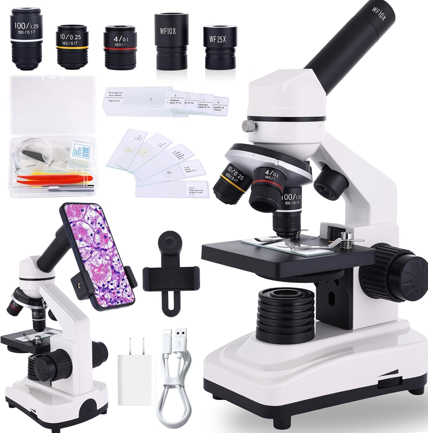 High-Power Compound Microscope for Students & Home Schooling