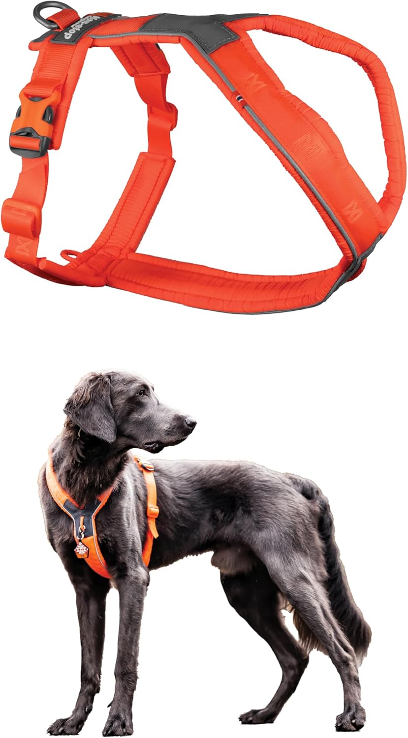 Non-stop dogwear Line Harness 5.0 for Active Medium Dogs