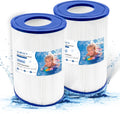 PDM30 Oval Spa Filter Cartridge 30 sq.ft 2-Pack - Reliable Clear Water