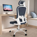 Silybon Ergonomic Office Chair: Ultimate Comfort!