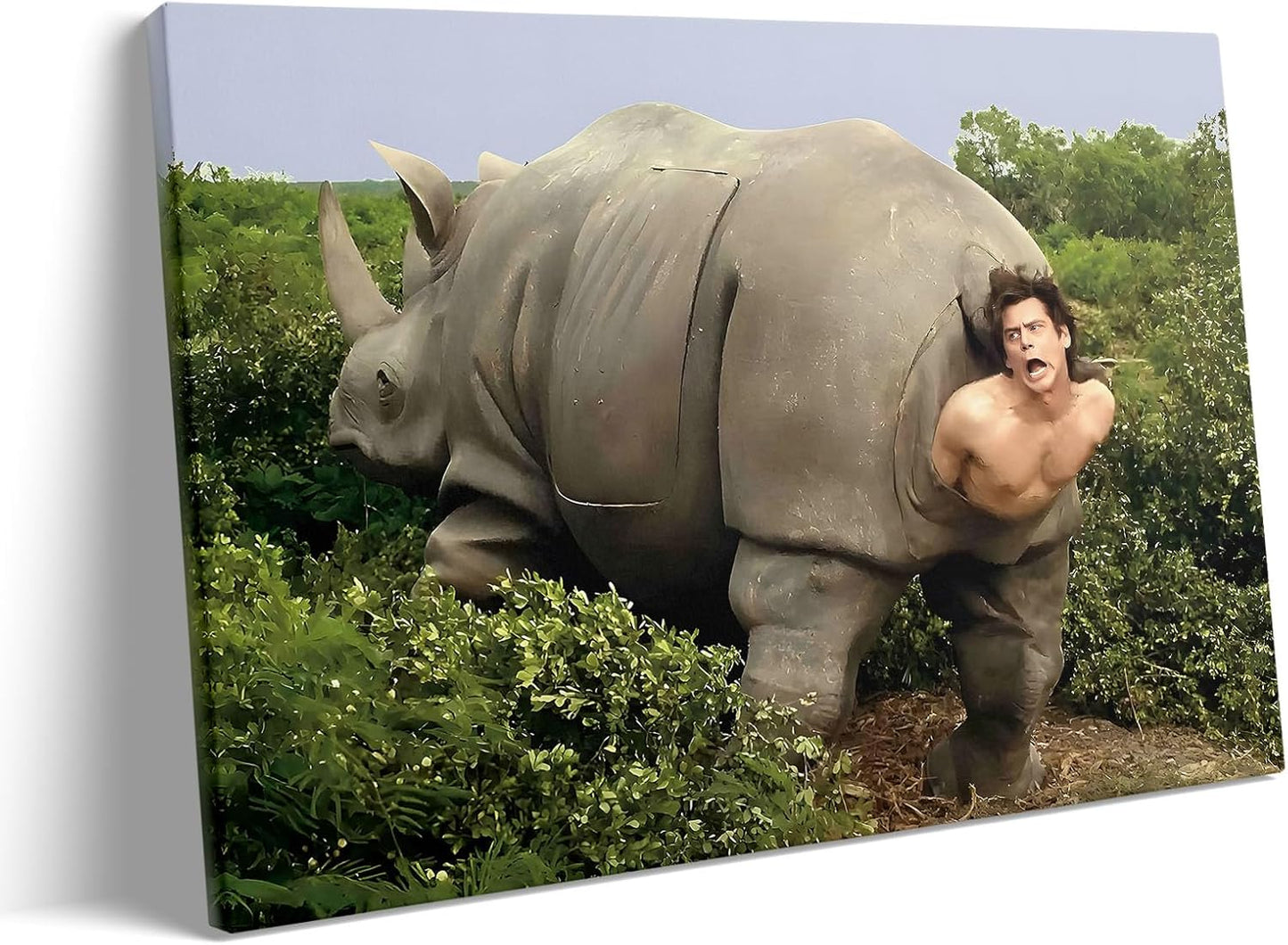 VYPEROCK Funny Framed Canvas Wall Art for Bathroom Decor
