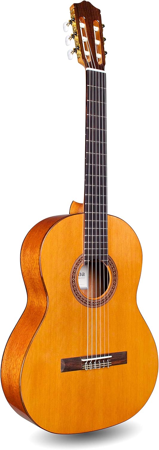 Cordoba Dolce 7/8 Size Nylon String Guitar - Rich Tone