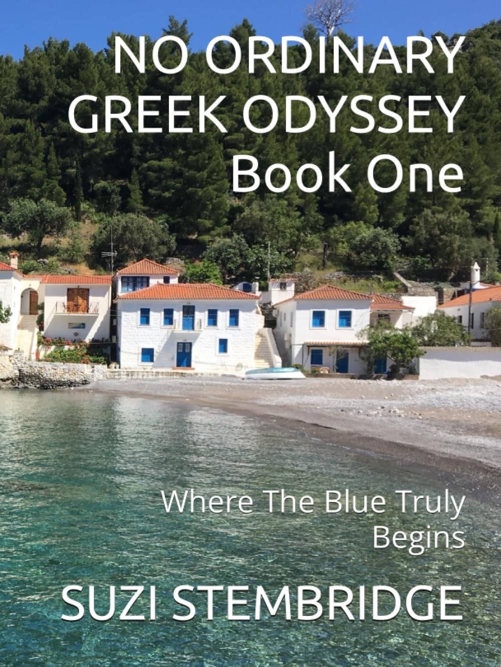 NO ORDINARY GREEK ODYSSEY Book 1: A Journey of Discovery