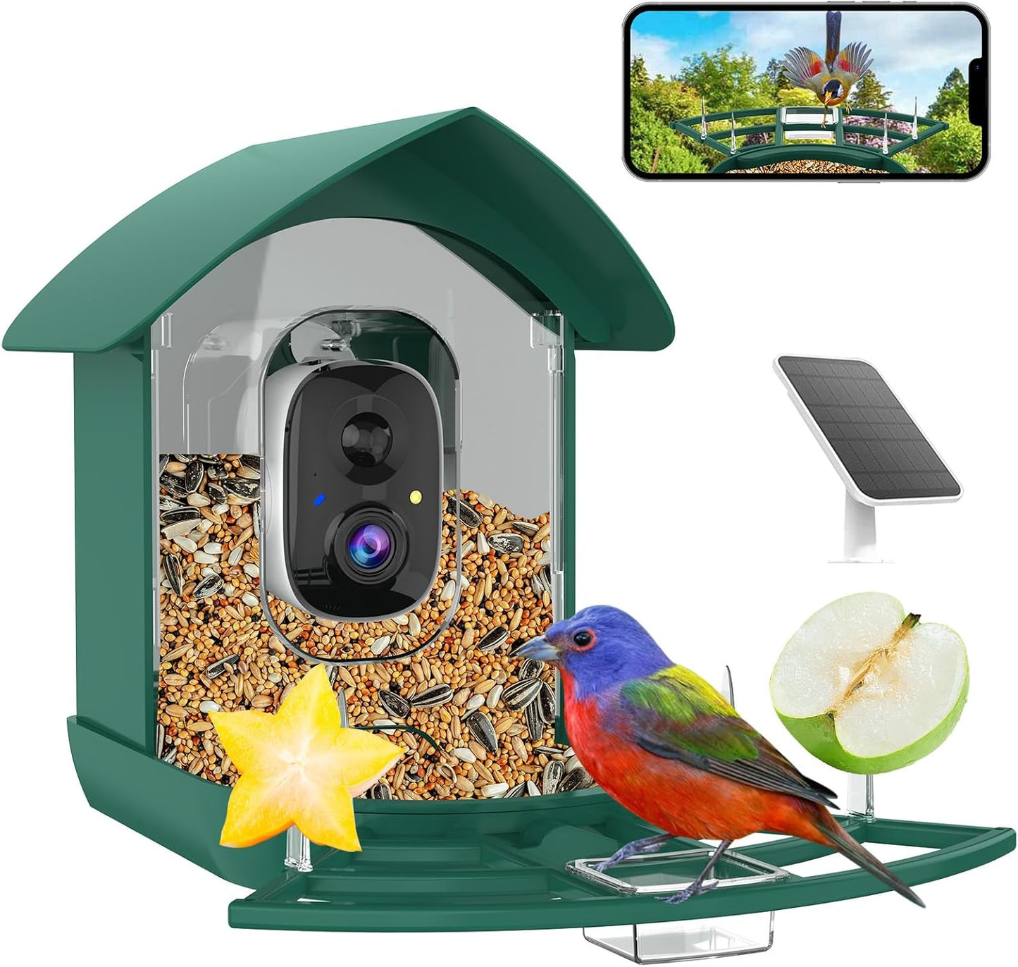 Bird Feeder with Camera for Real-Time Bird Watching Fun