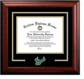 Campus Images NCAA Spirit Diploma Frame - Handcrafted Collegiate
