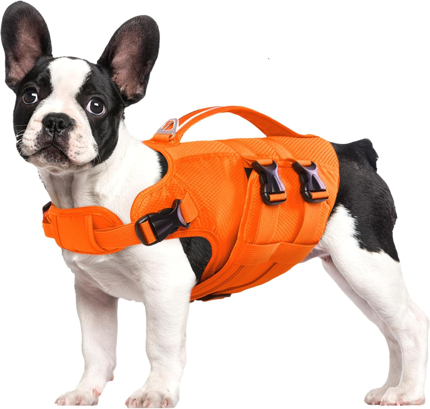 Kuoser Dog Life Jacket for Large Dogs - Safe Water Vest