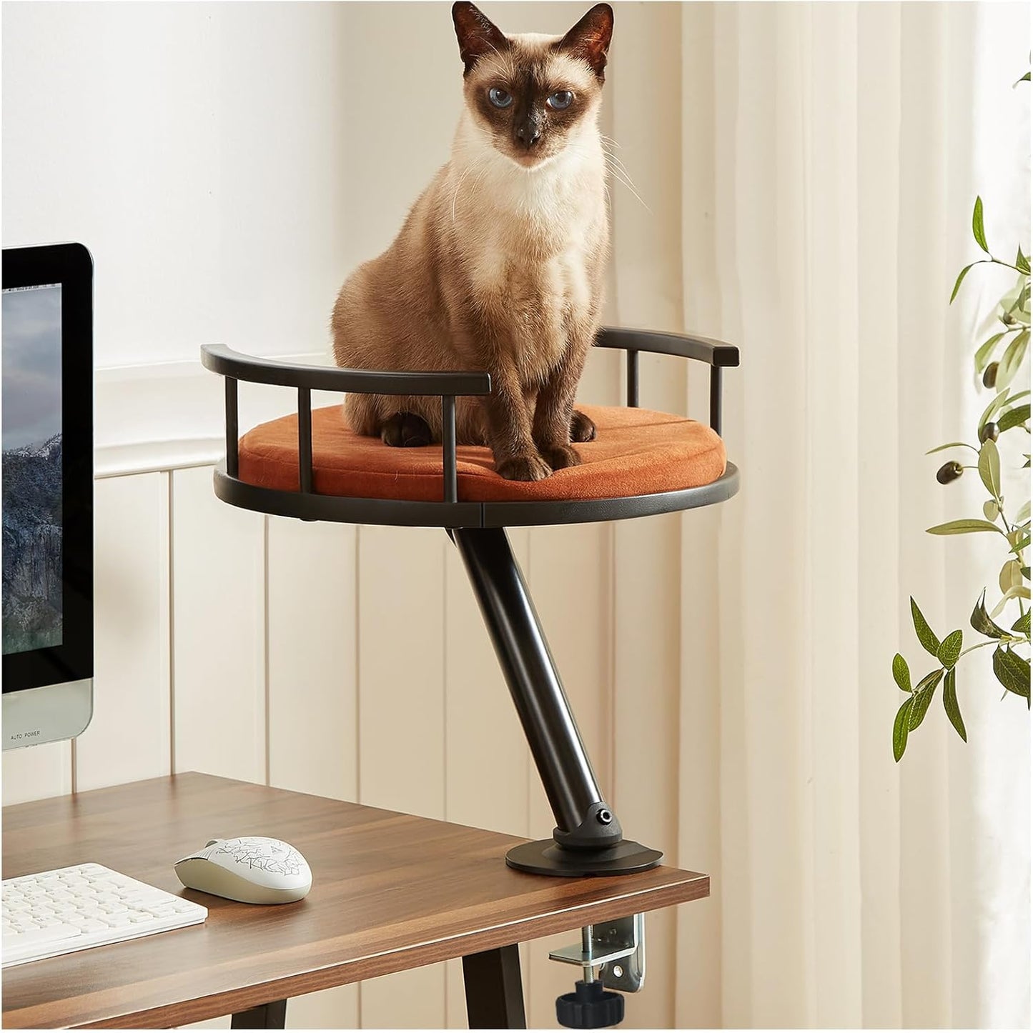 Cat Desk Bed - Spinnable Indoor Mounted Perch for Home Office