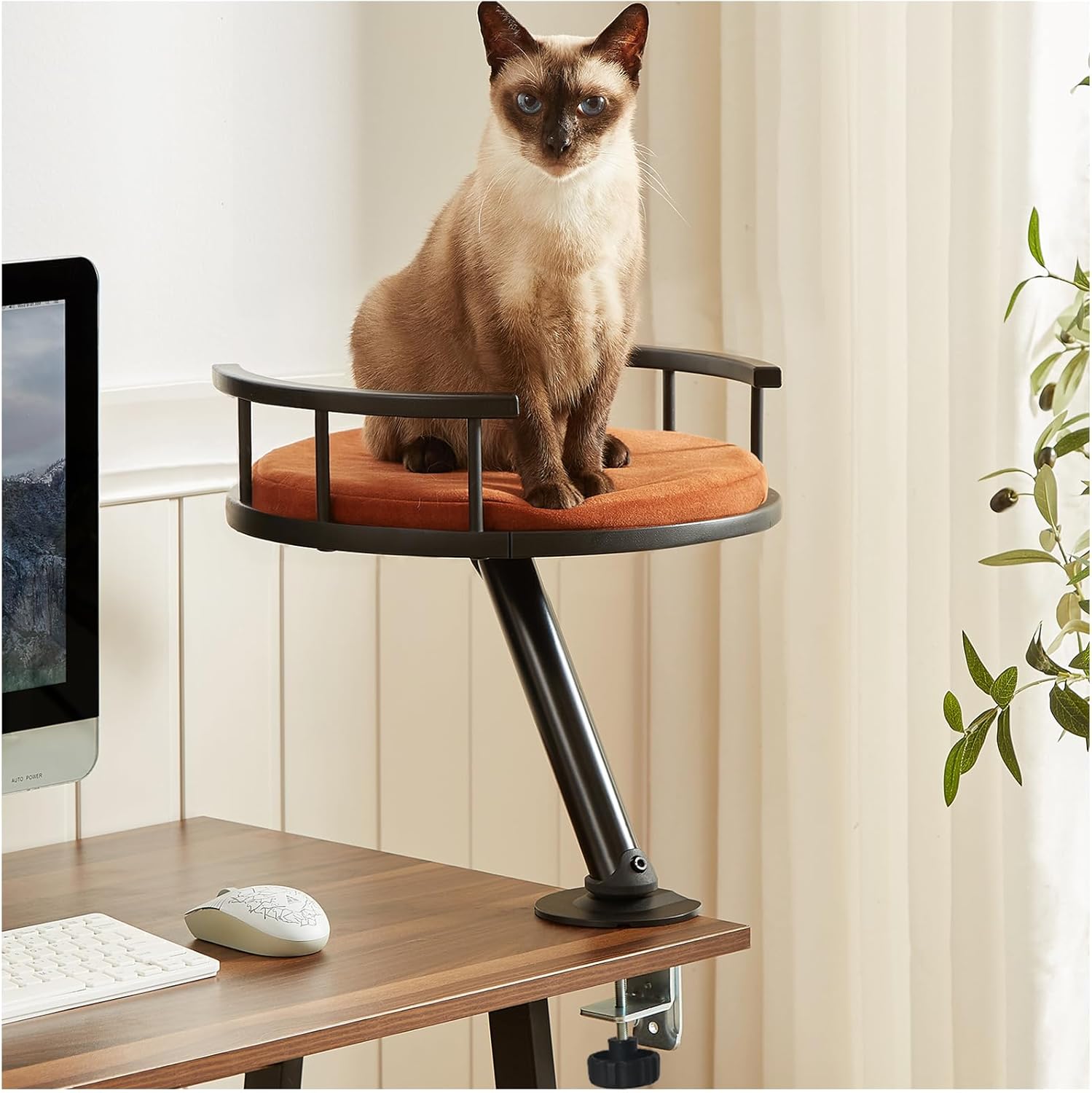 Cat Desk Bed - Spinnable Indoor Mounted Perch for Home Office