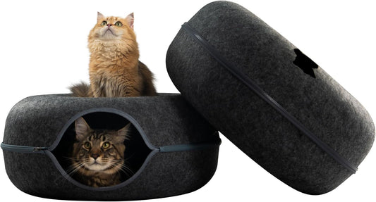 CATTASAURUS Peekaboo Cat Cave for Large Cats and Dogs
