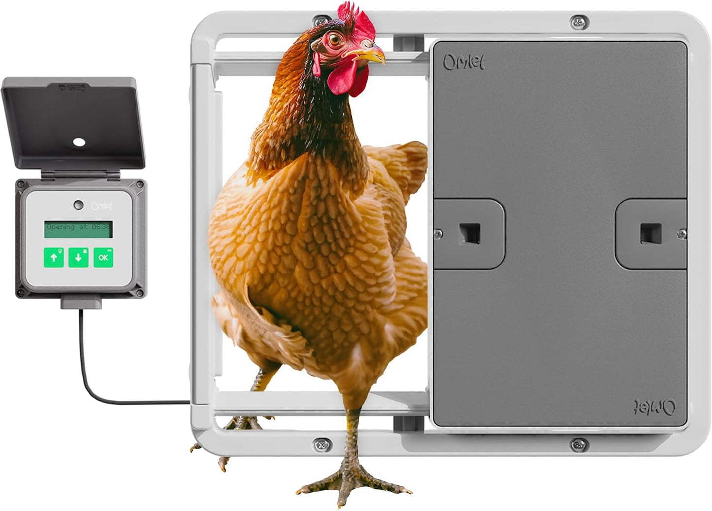 Omlet Automatic Chicken Coop Door Opener for Easy Access