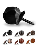 0.75ft Round Head Iron Clavos Decorative Nails 50 Pack - Rustic Black