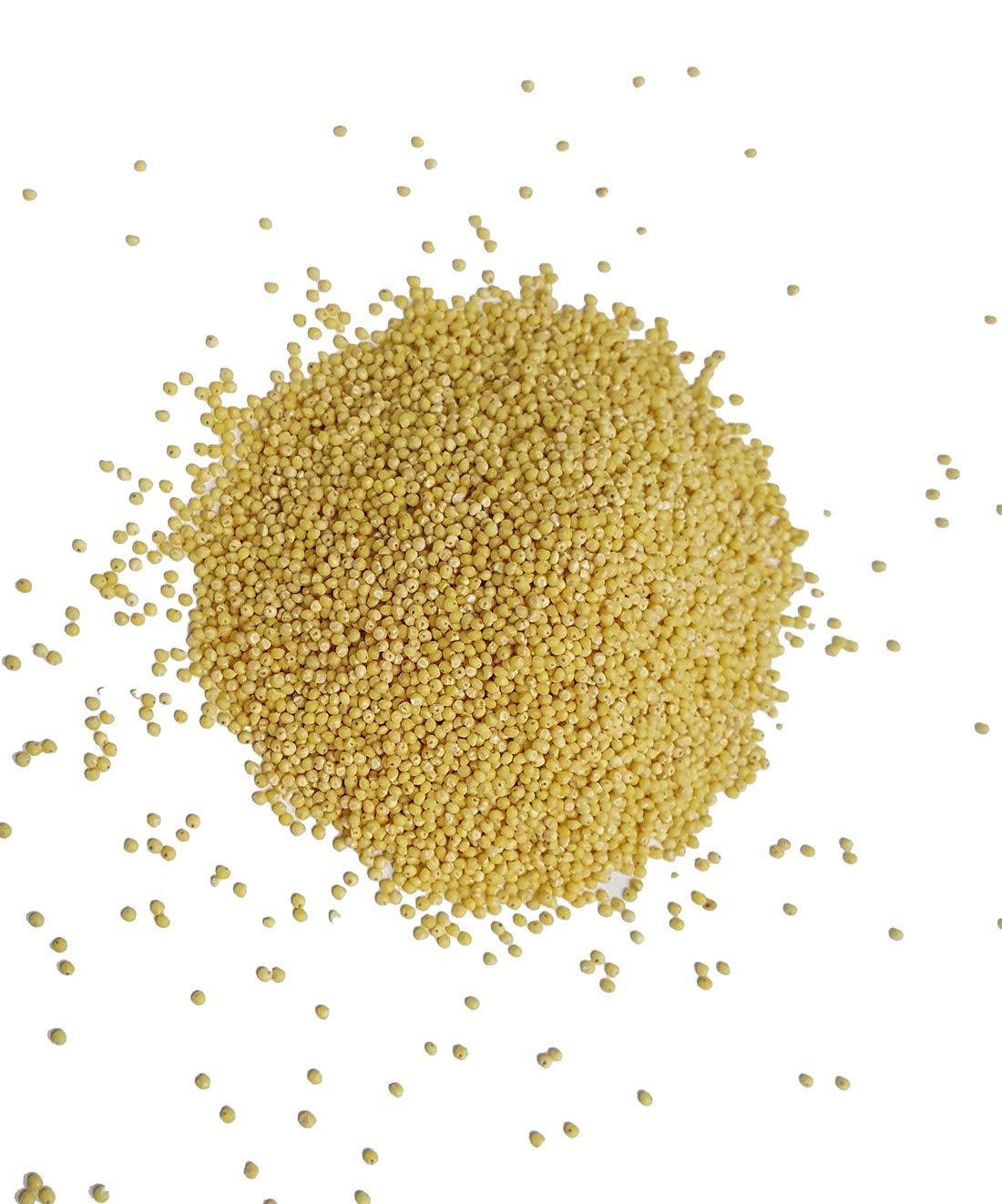 Organic Millet Whole Grain Seeds - Nutritious Gluten Free Bulk