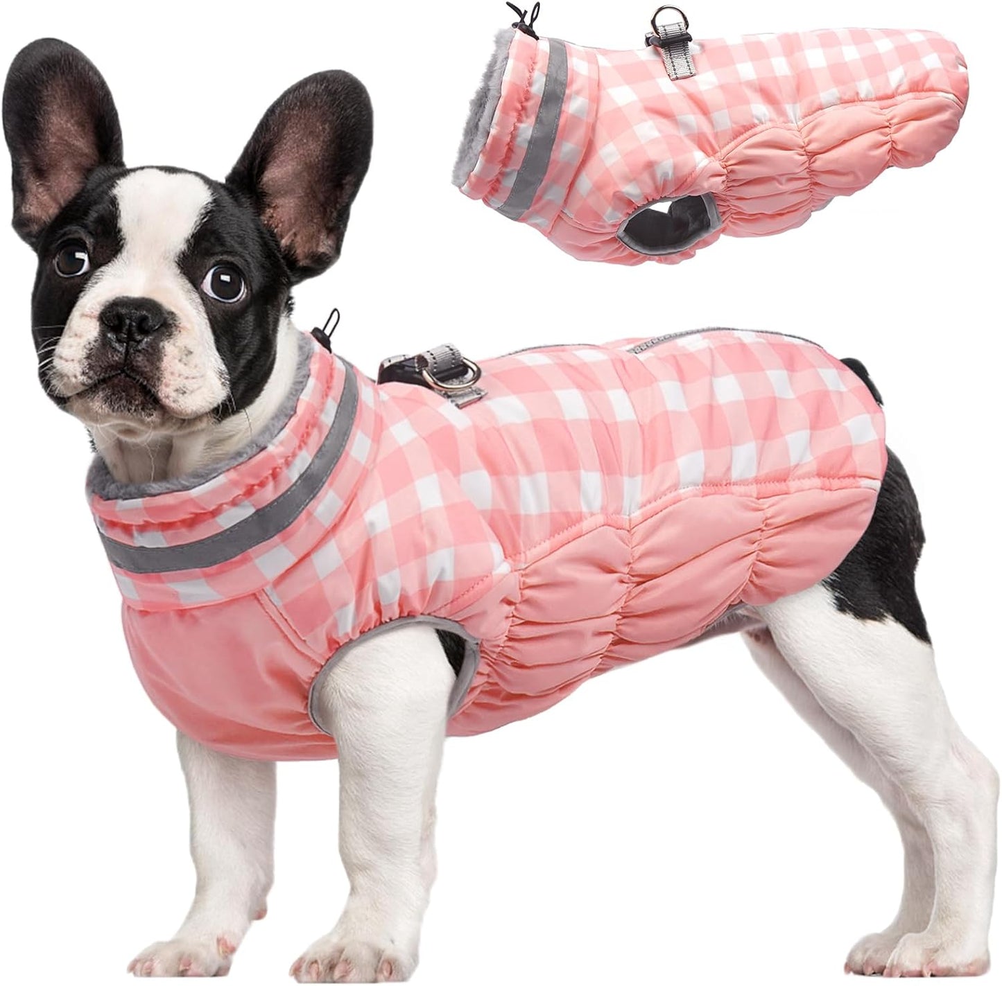 FUAMEY Dog Coat for Medium Dogs: Waterproof Winter Jacket