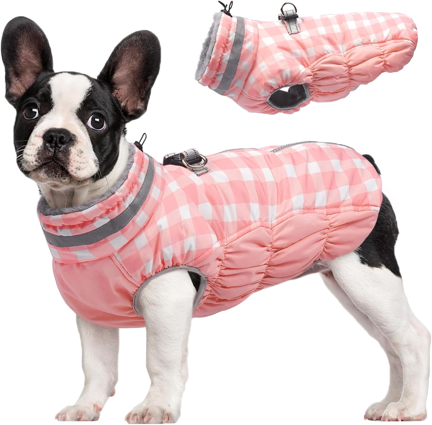 FUAMEY Dog Coat for Medium Dogs: Waterproof Winter Jacket