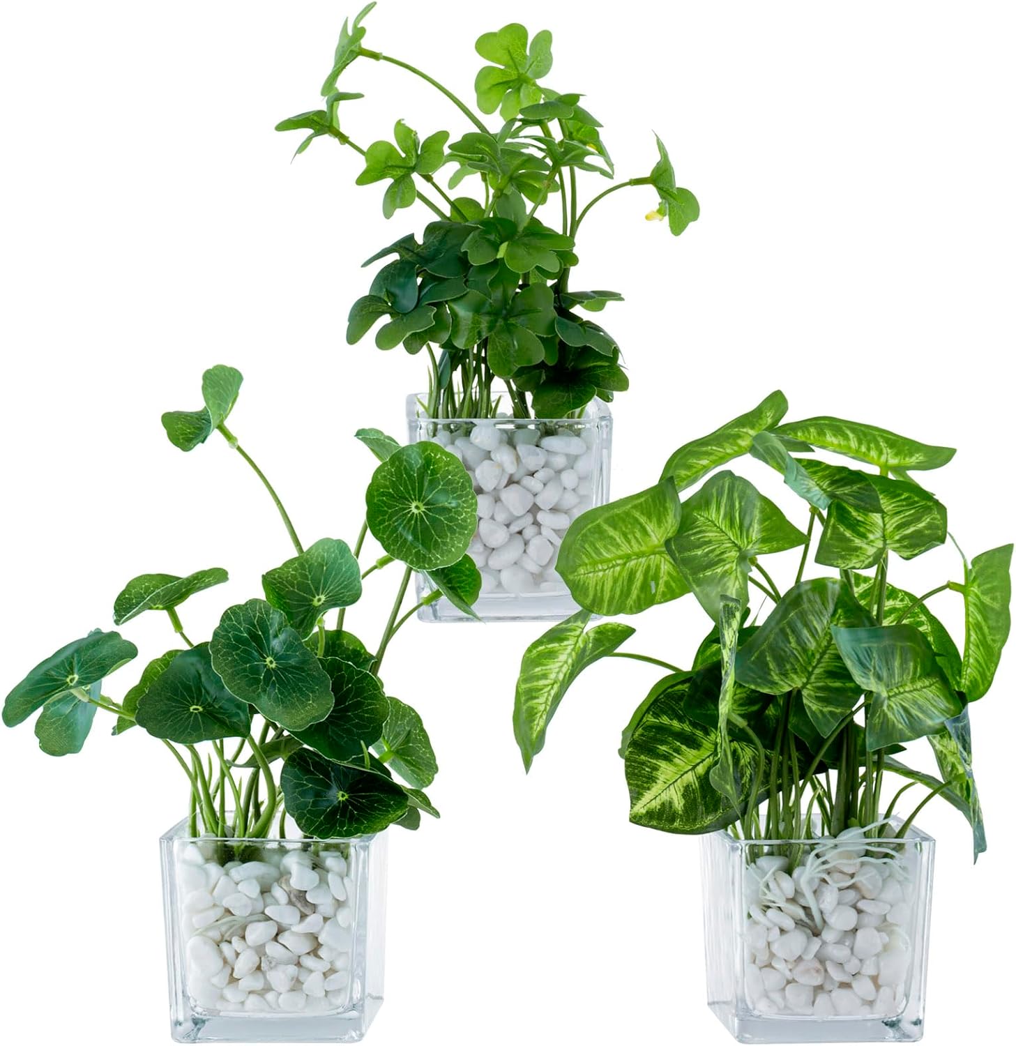 Artificial Clover and Taro Plants in Clear Glass Vases Set