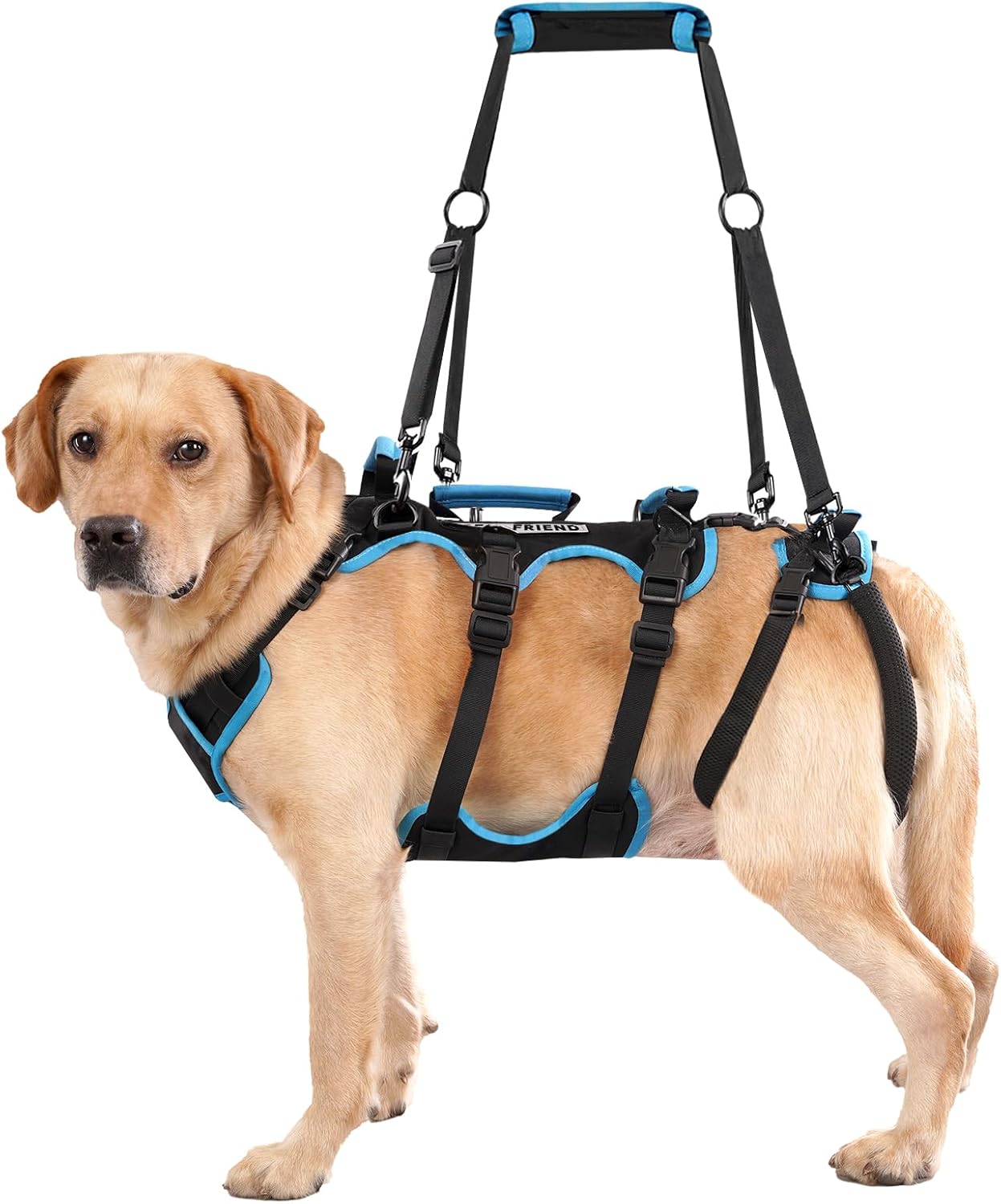 Dog Lift Harness for Large Male Dogs - 2-in-1 Support Solution