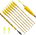 31in Carbon Arrow Practice Hunting Arrows - Straight Flight
