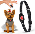 Bark Collar for Small Dogs 5-15 lbs - Humane Magnetic Charging