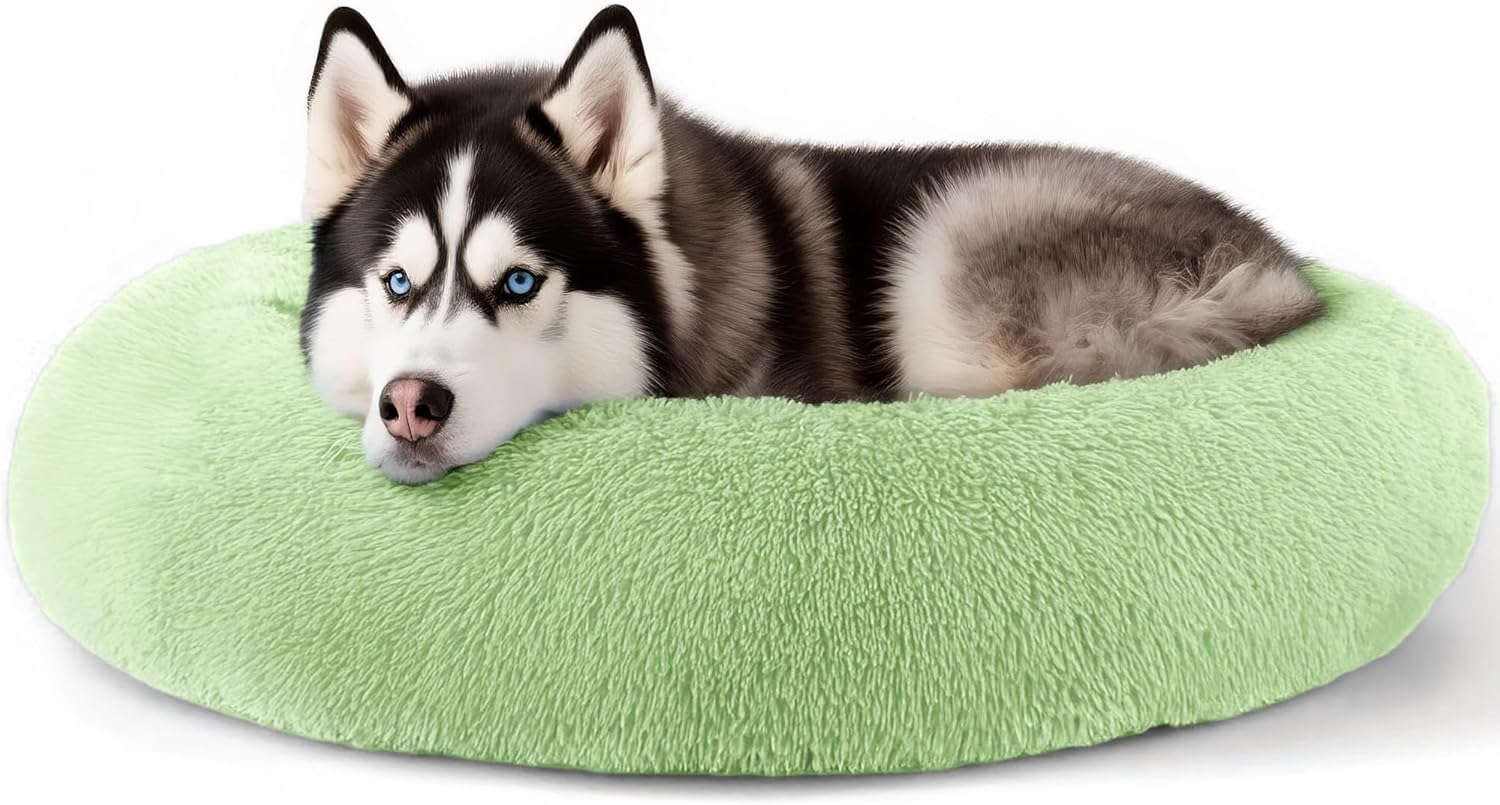 Extra Large Dog Beds for Comfort and Anxiety Relief in Green