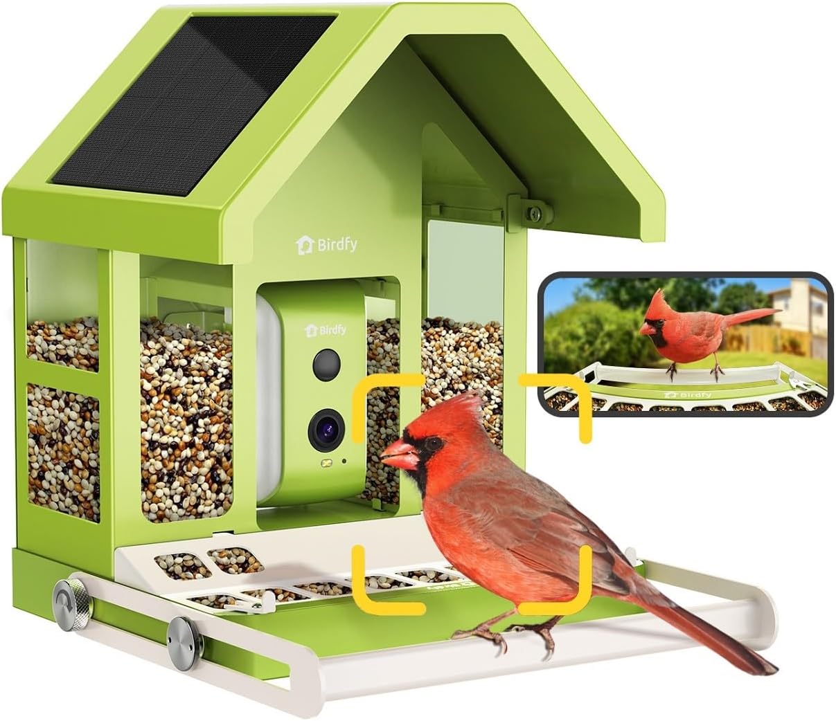 Birdfy Smart Feeder: AI Bird Identification & Live View