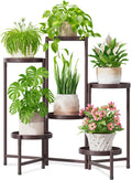 6 Tier Large Plant Stand Indoor - Tall Corner Metal Rack for Multiple