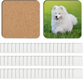 60 Pack Sublimation Coasters Blanks Cork Back MDF Square Coasters