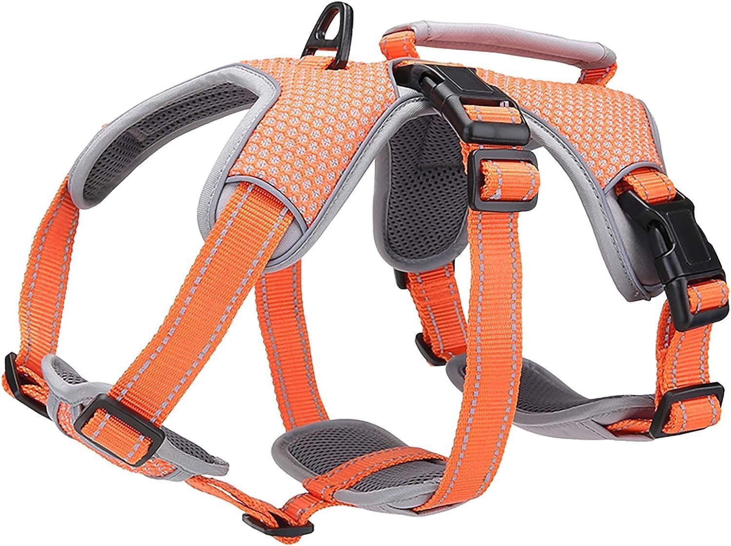 BELPRO Multi-Use Support Dog Harness for Big Active Dogs