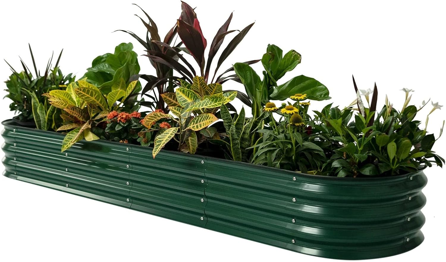 Vego Garden Raised Garden Bed Kit for Vegetables and Flowers
