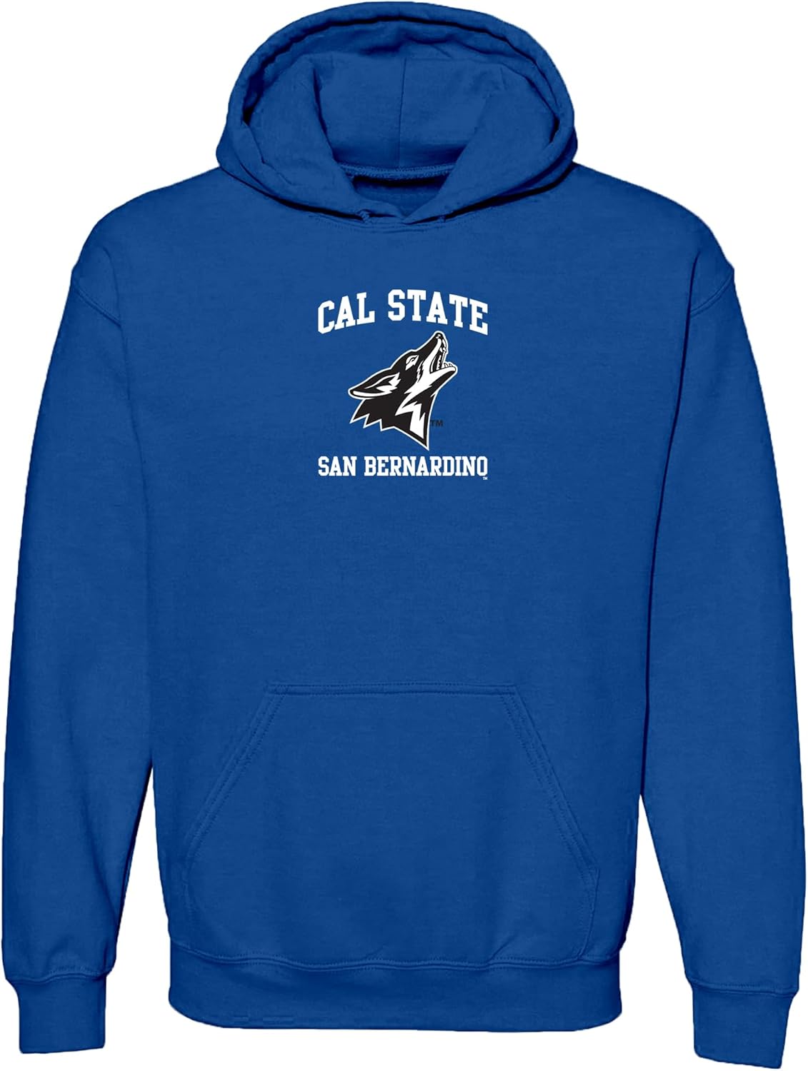 Officially Licensed College Arch Logo Hoodie for All Fans