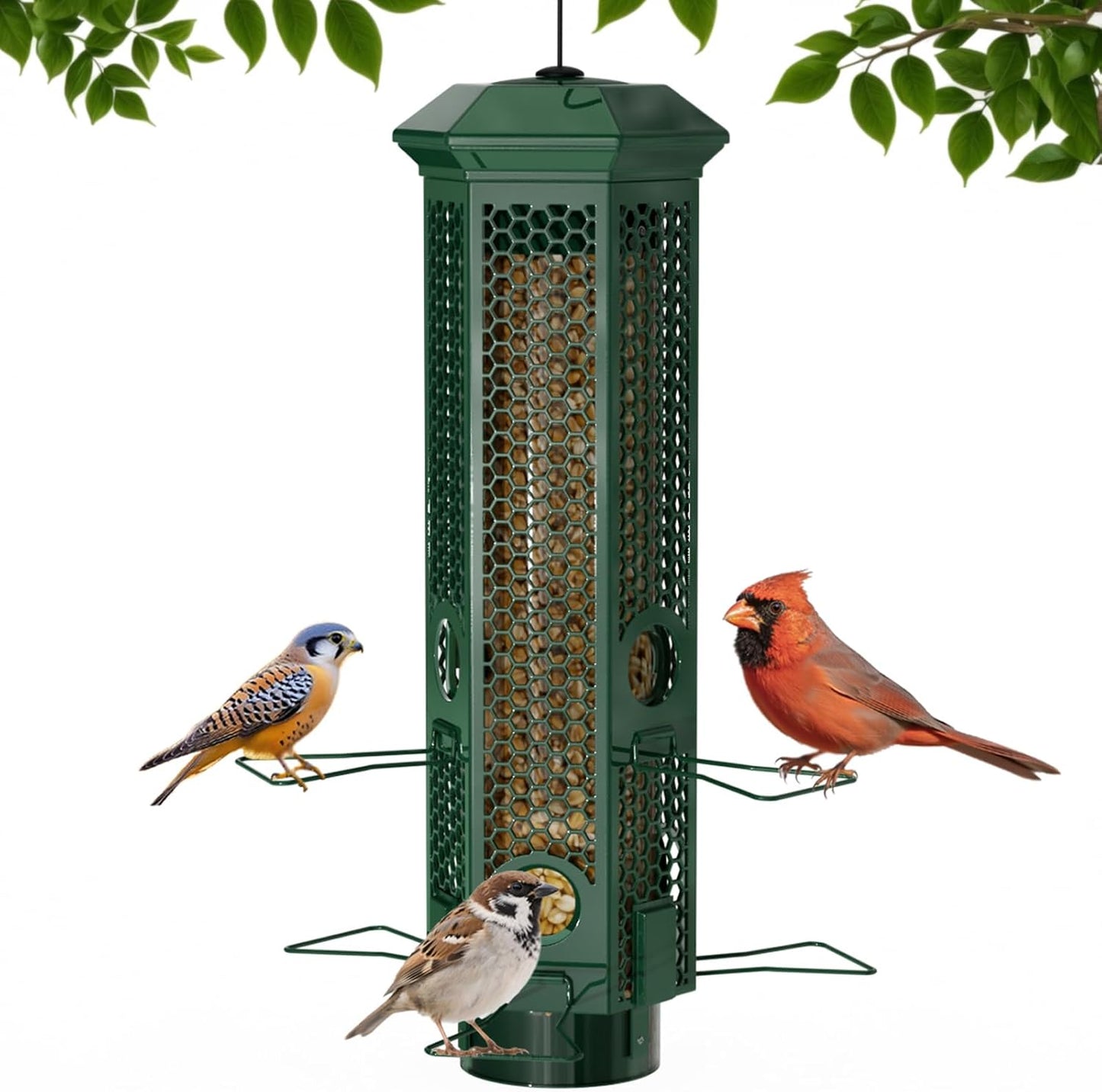 Squirrel Proof Bird Feeders with 6 Ports and Easy Clean Design