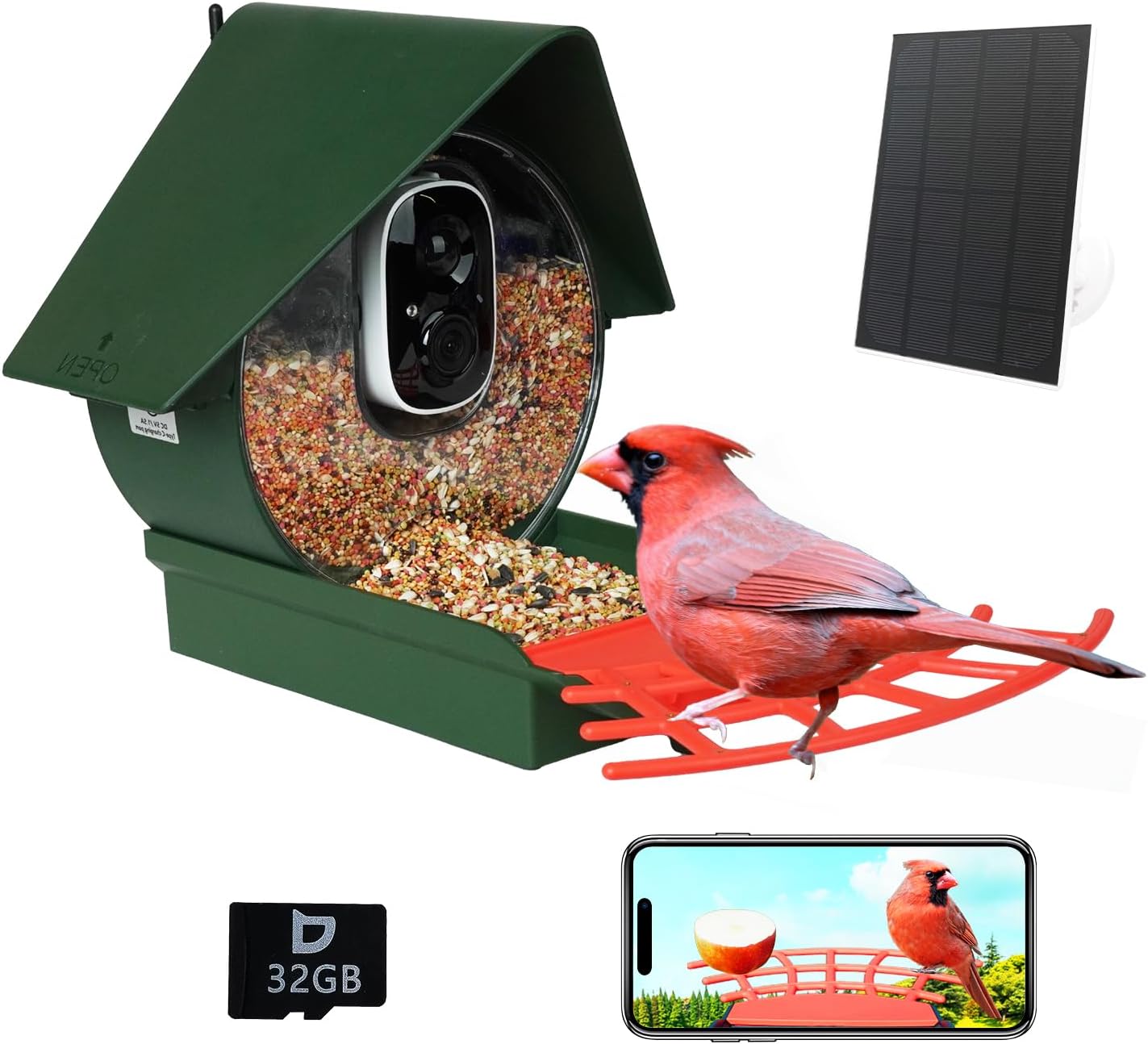 Birdkiss Smart Feeder: AI Capture & Motion Detection
