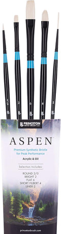 Princeton Aspen 6500 Series 5pc Professional Paint Brushes - Durable