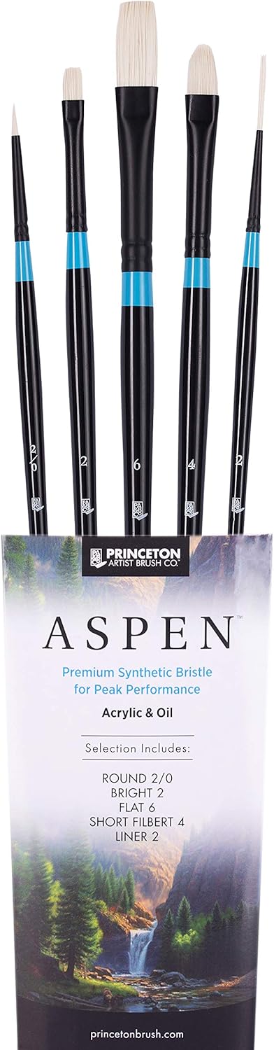 Princeton Aspen 6500 Series 5pc Professional Paint Brushes Set