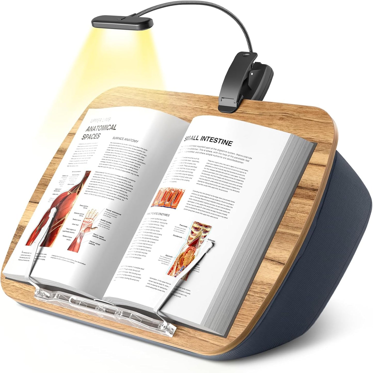 Beanbag Pillow Stand with 6500K Reading Light for Comfort
