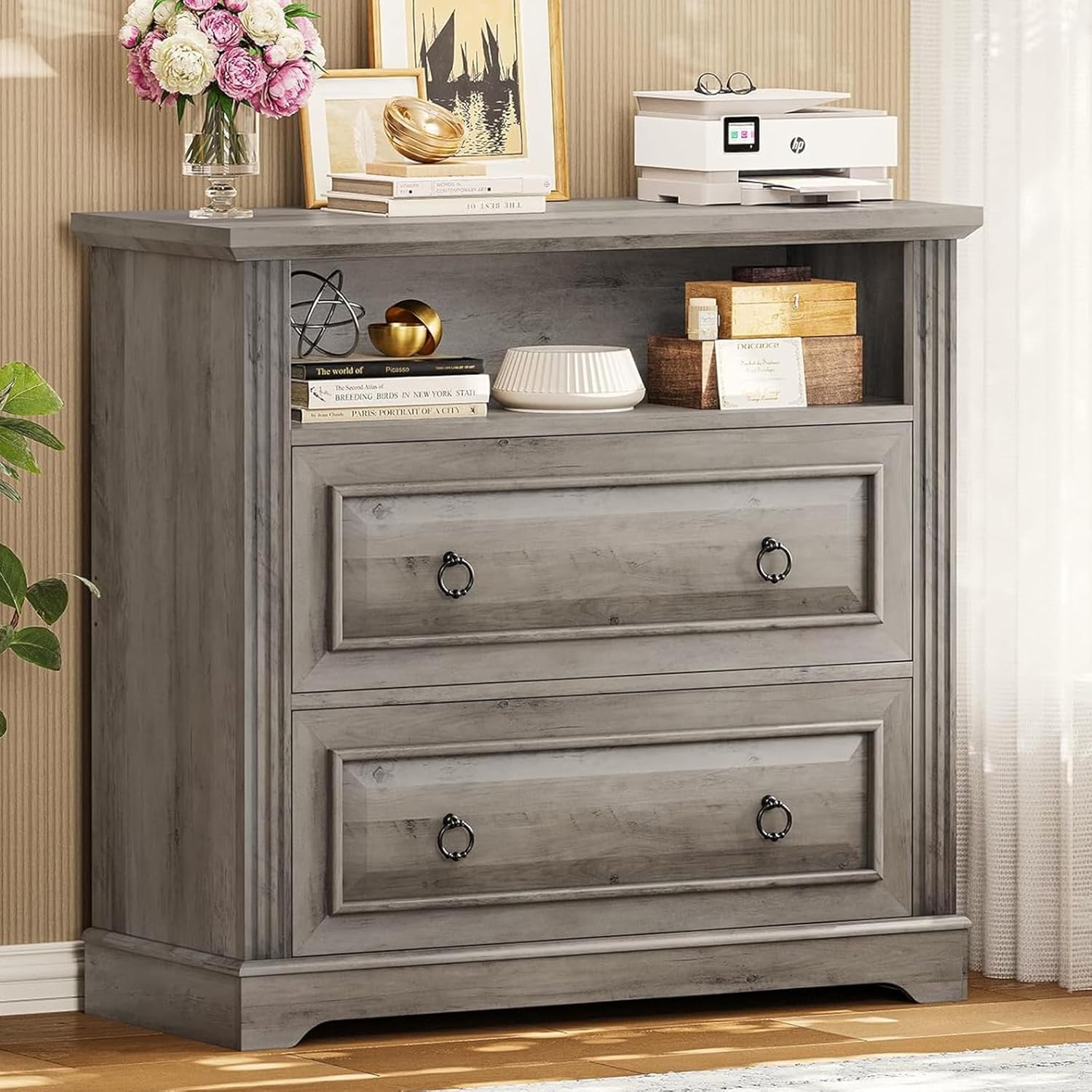 Itaar 2 Drawer File Cabinet for Home Office with Storage Shelf