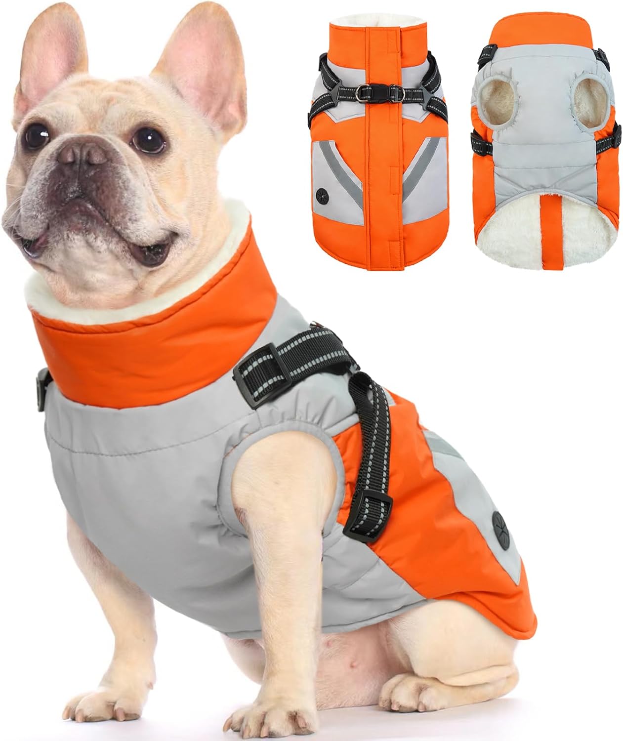 FUAMEY Dog Winter Jackets for Small Dogs with Harness Built-in