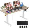 Electric Standing Desk Adjustable Height 55 x 24 in - Stable Sit-Stand