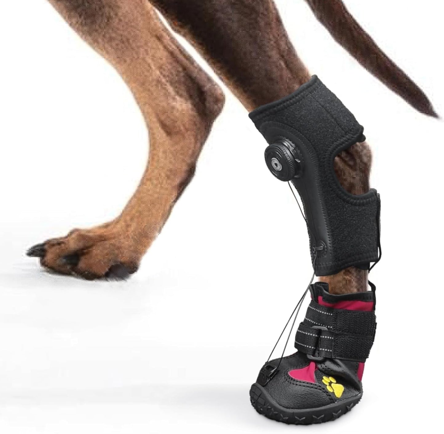 Drop Foot Brace for Dogs - Corrective Shoes for Gait Issues